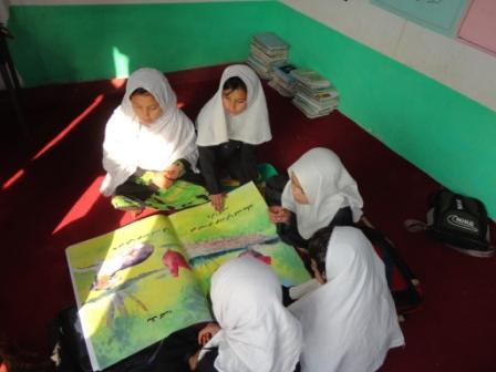 CBE students during working on Library books in Shirullah Khel Community.JPG